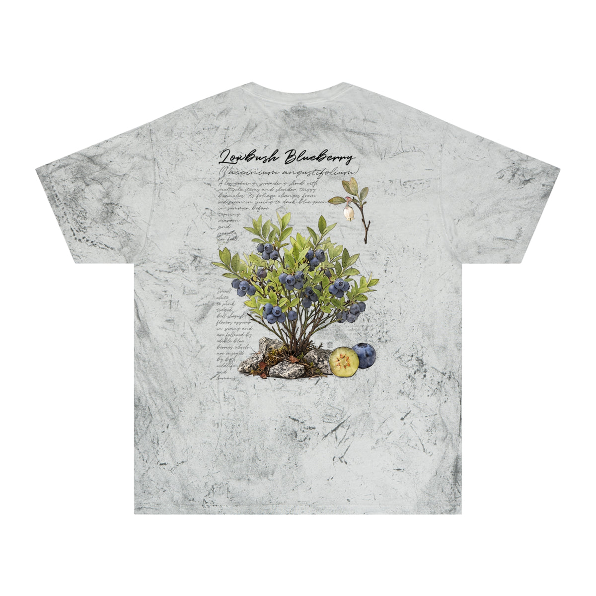 NATIVE: Lowbush Blueberry - Color Blast T-shirt