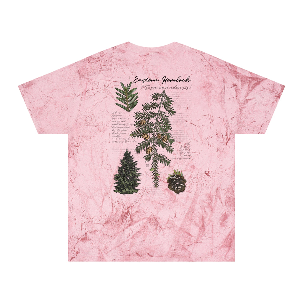 NATIVE: Eastern Hemlock - Color Blast T-shirt