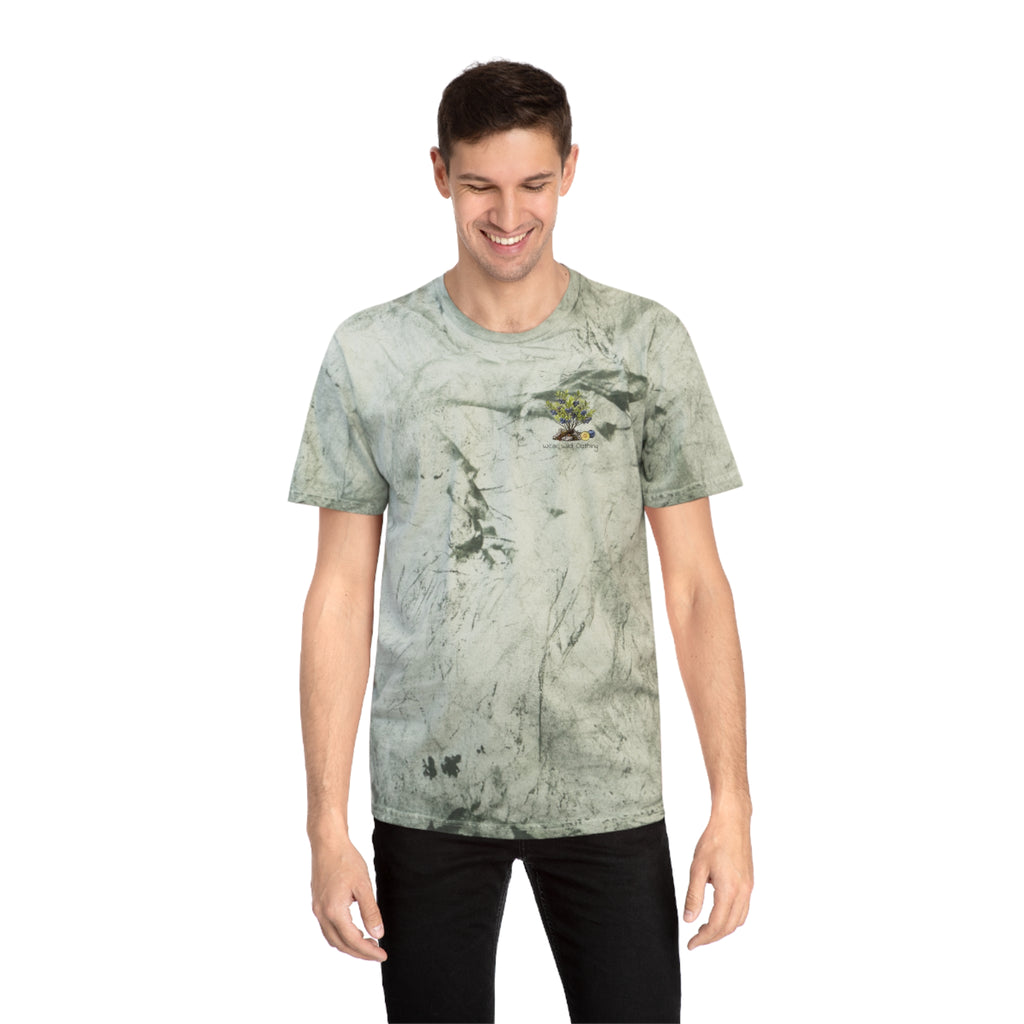 NATIVE: Lowbush Blueberry - Color Blast T-shirt