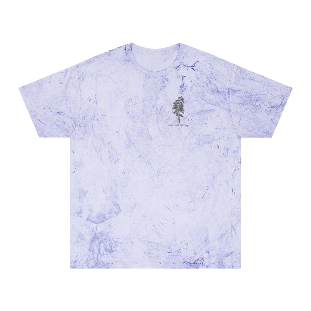NATIVE: Eastern Hemlock - Color Blast T-shirt