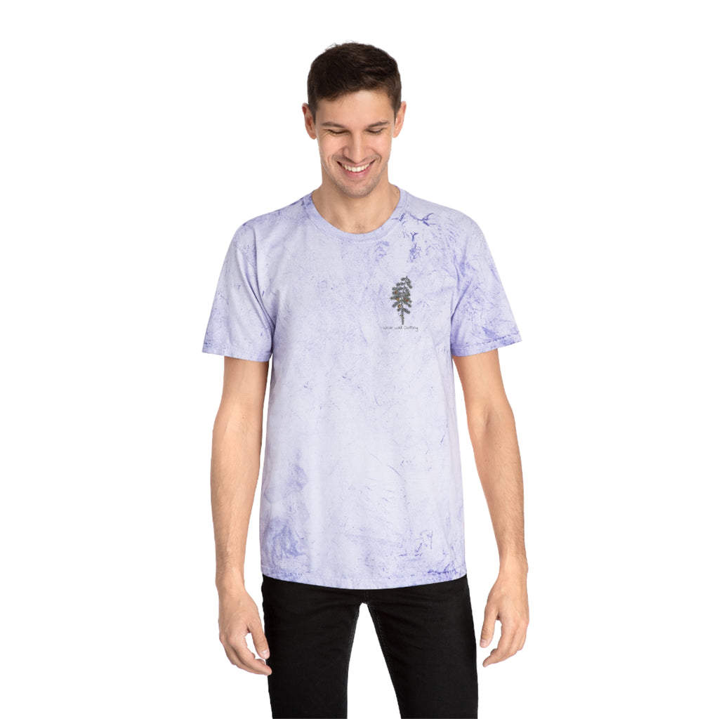 NATIVE: Eastern Hemlock - Color Blast T-shirt