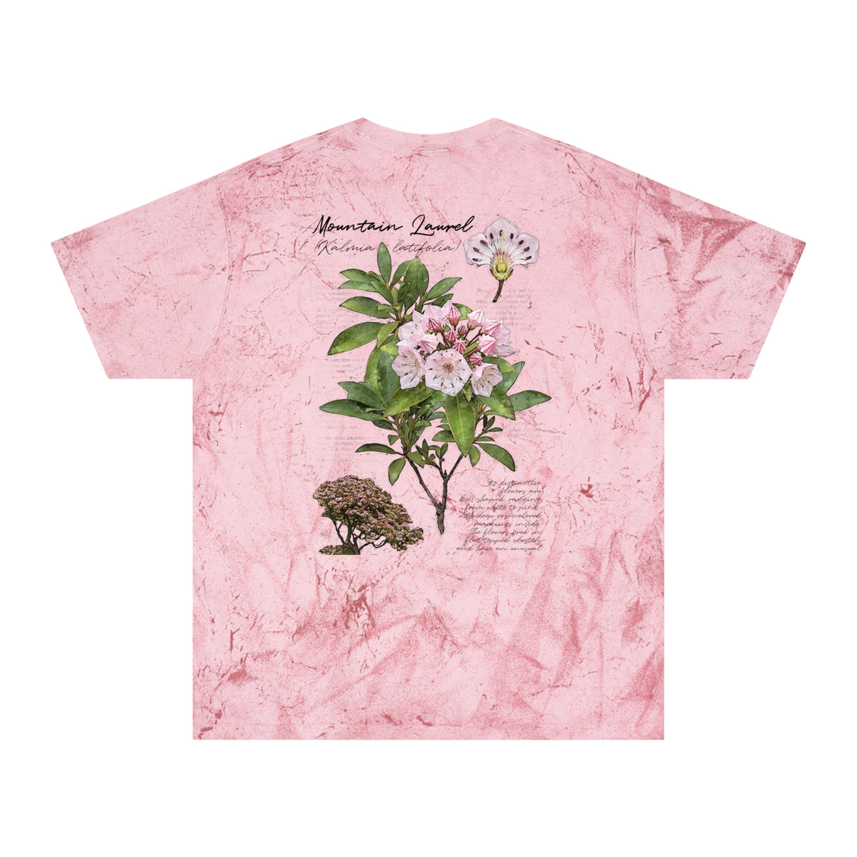 NATIVE: Mountain Laurel - Color blast T-shirt