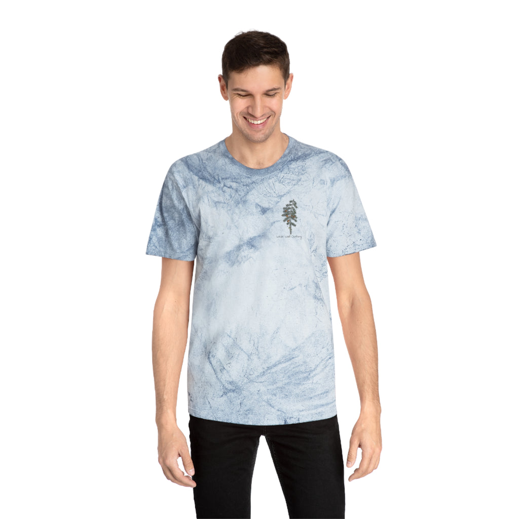 NATIVE: Eastern Hemlock - Color Blast T-shirt