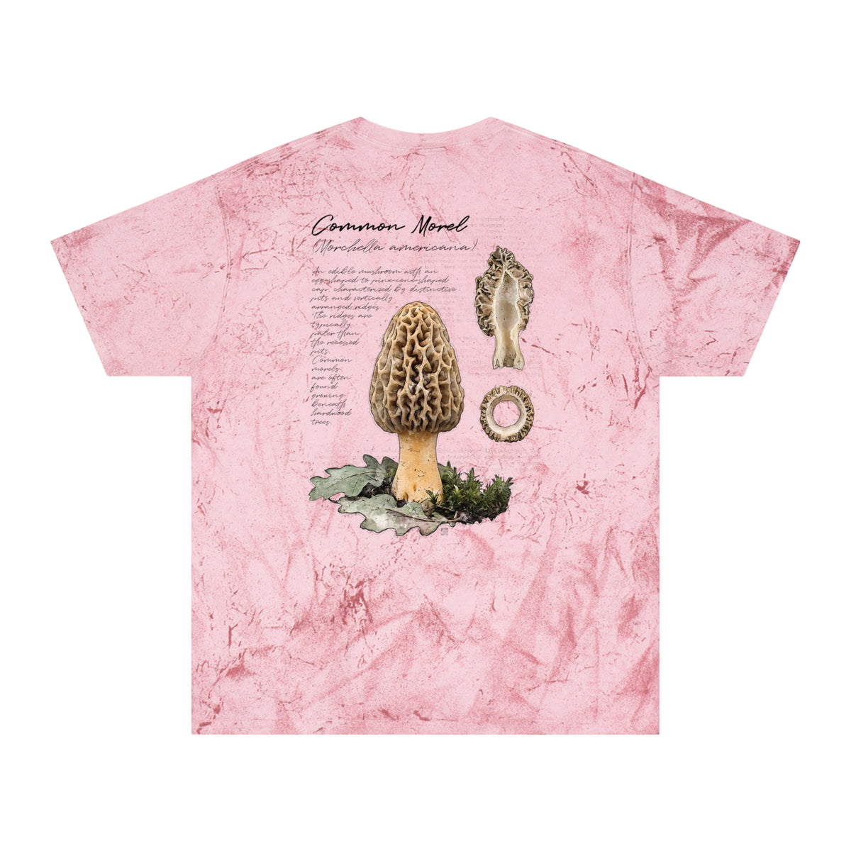 Native: Common Morel - Color Blast T-shirt