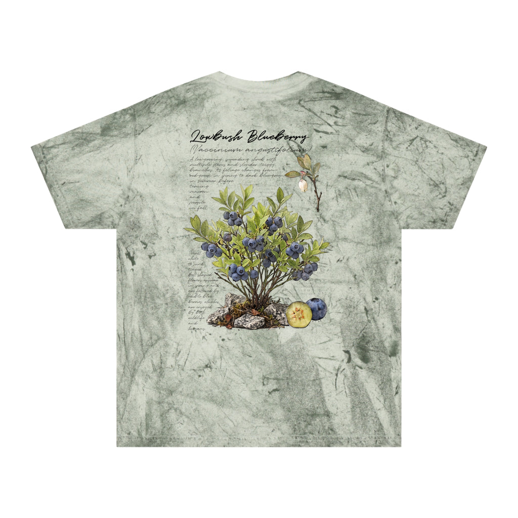 NATIVE: Lowbush Blueberry - Color Blast T-shirt