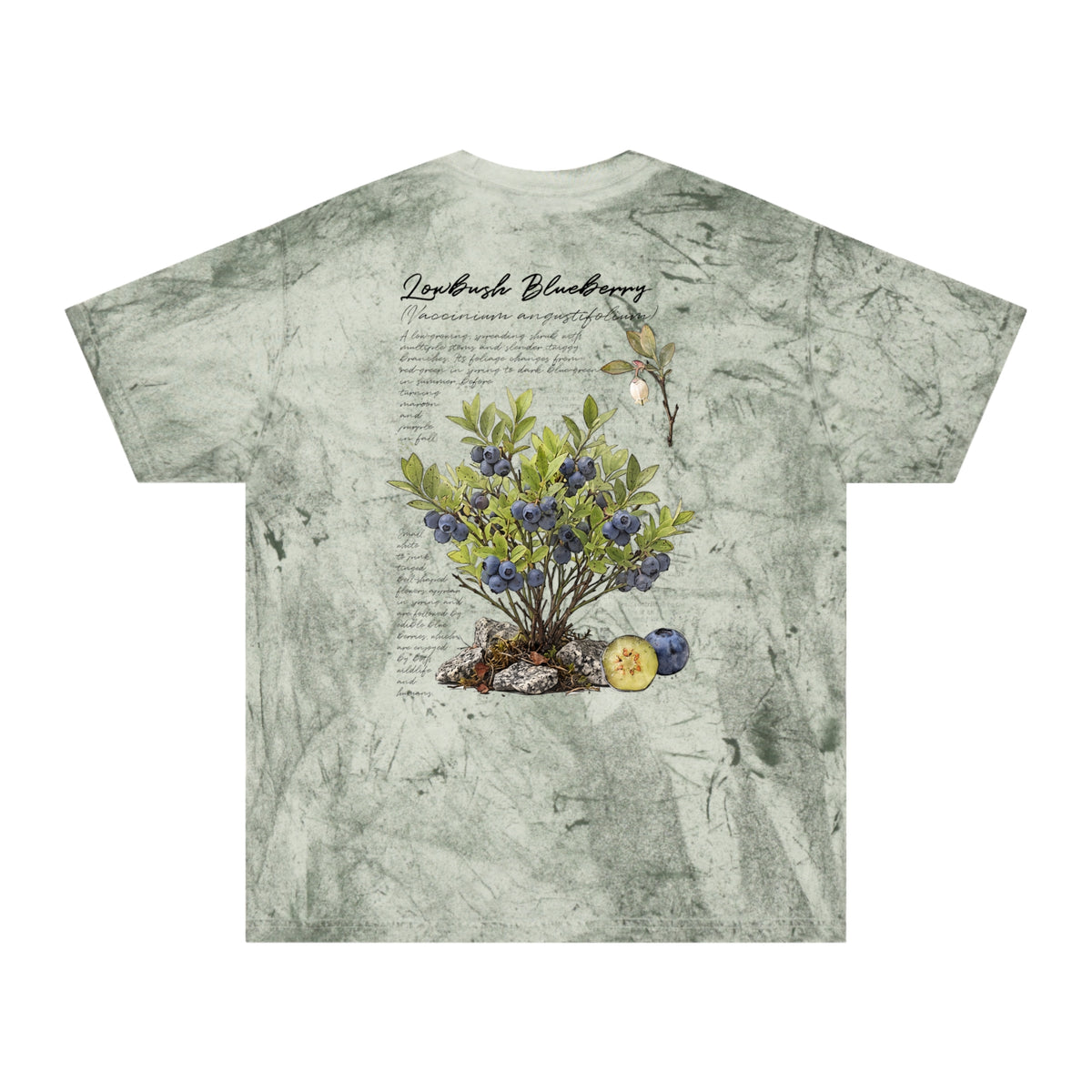 NATIVE: Lowbush Blueberry - Color Blast T-shirt