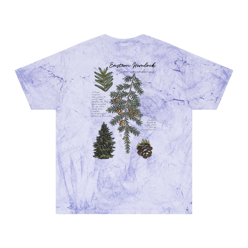 NATIVE: Eastern Hemlock - Color Blast T-shirt