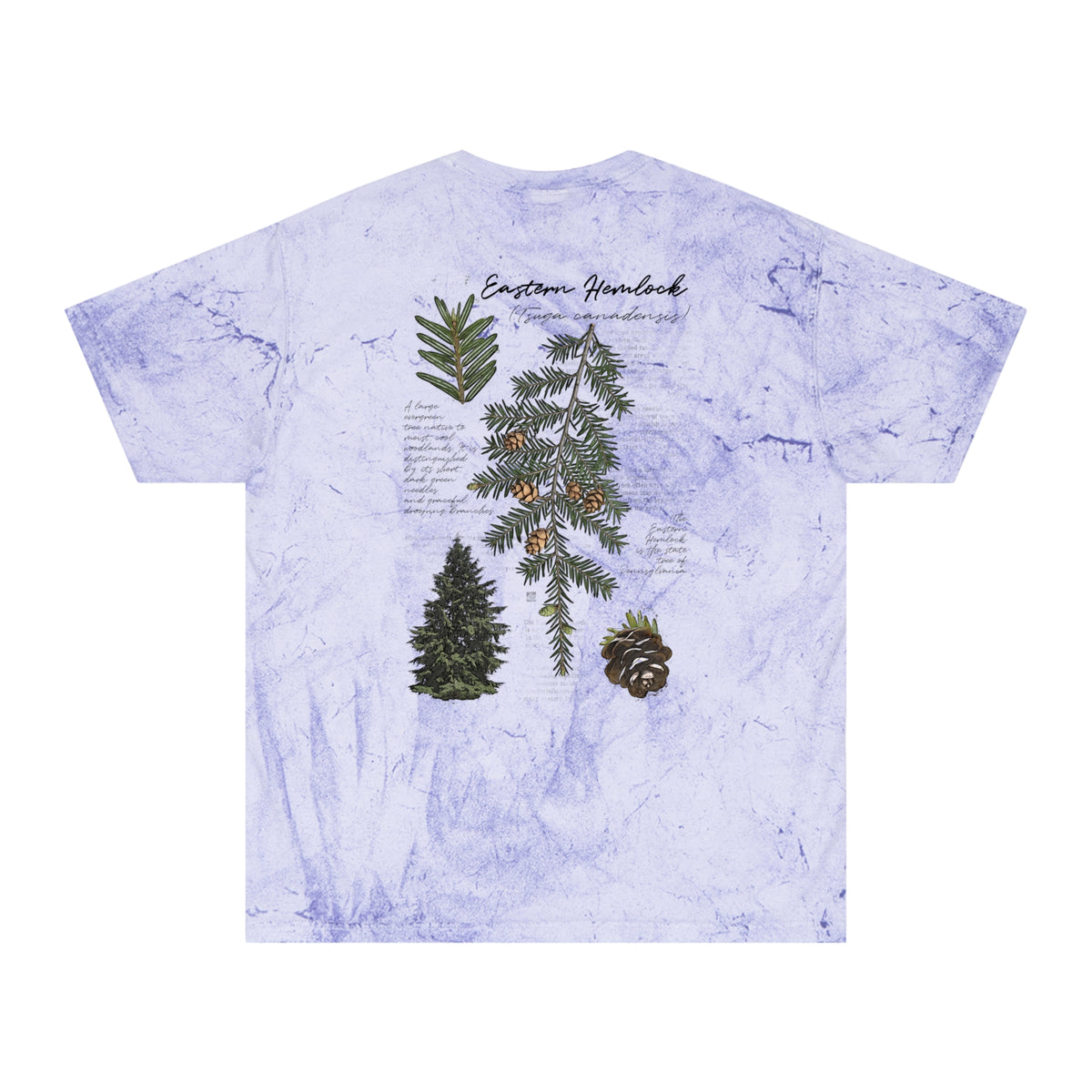 NATIVE: Eastern Hemlock - Color Blast T-shirt
