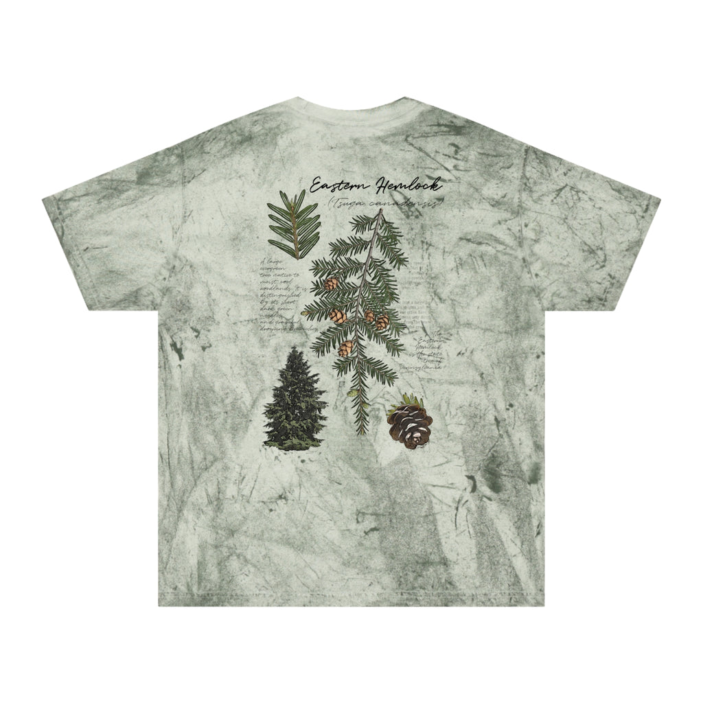 NATIVE: Eastern Hemlock - Color Blast T-shirt