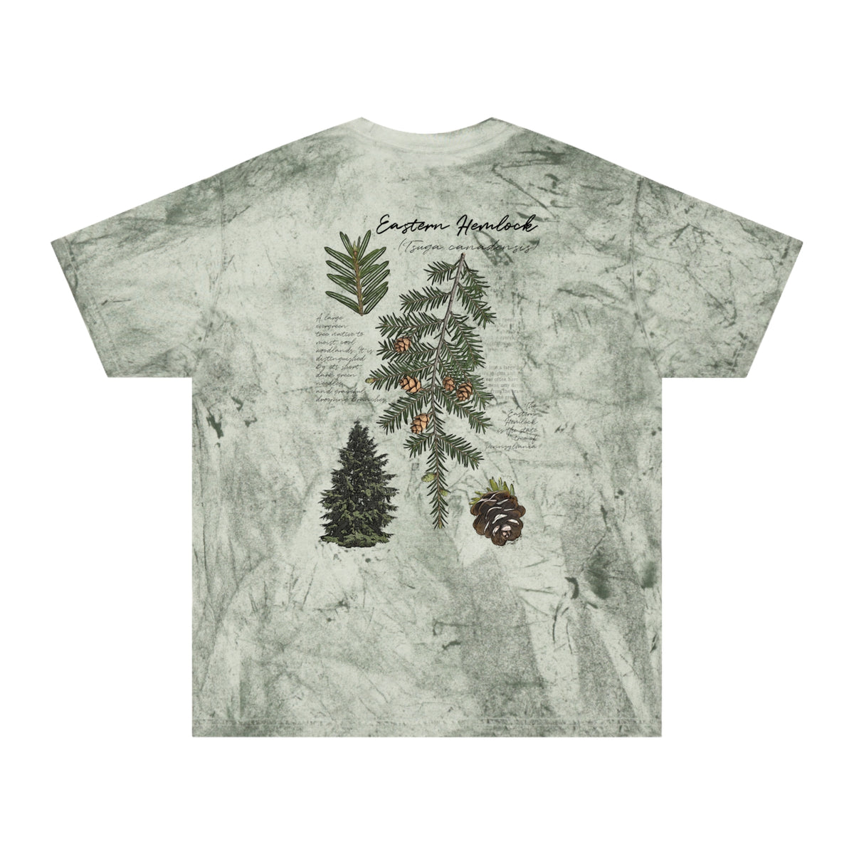 NATIVE: Eastern Hemlock - Color Blast T-shirt