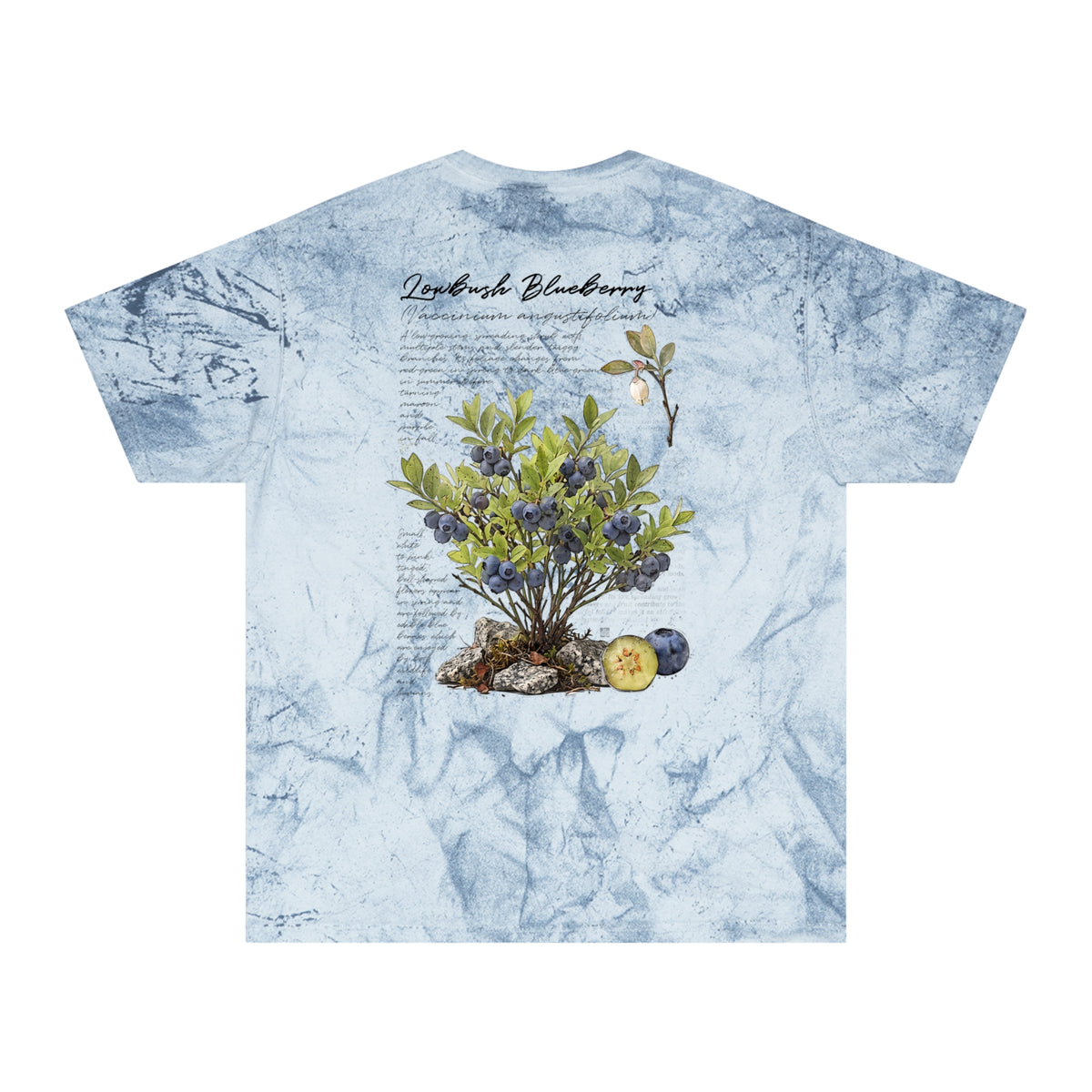 NATIVE: Lowbush Blueberry - Color Blast T-shirt