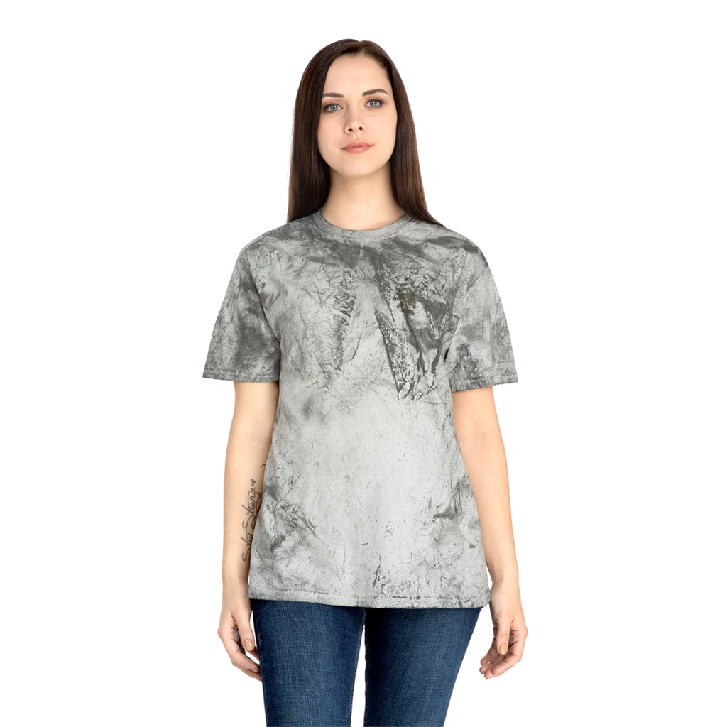NATIVE: Eastern Hemlock - Color Blast T-shirt