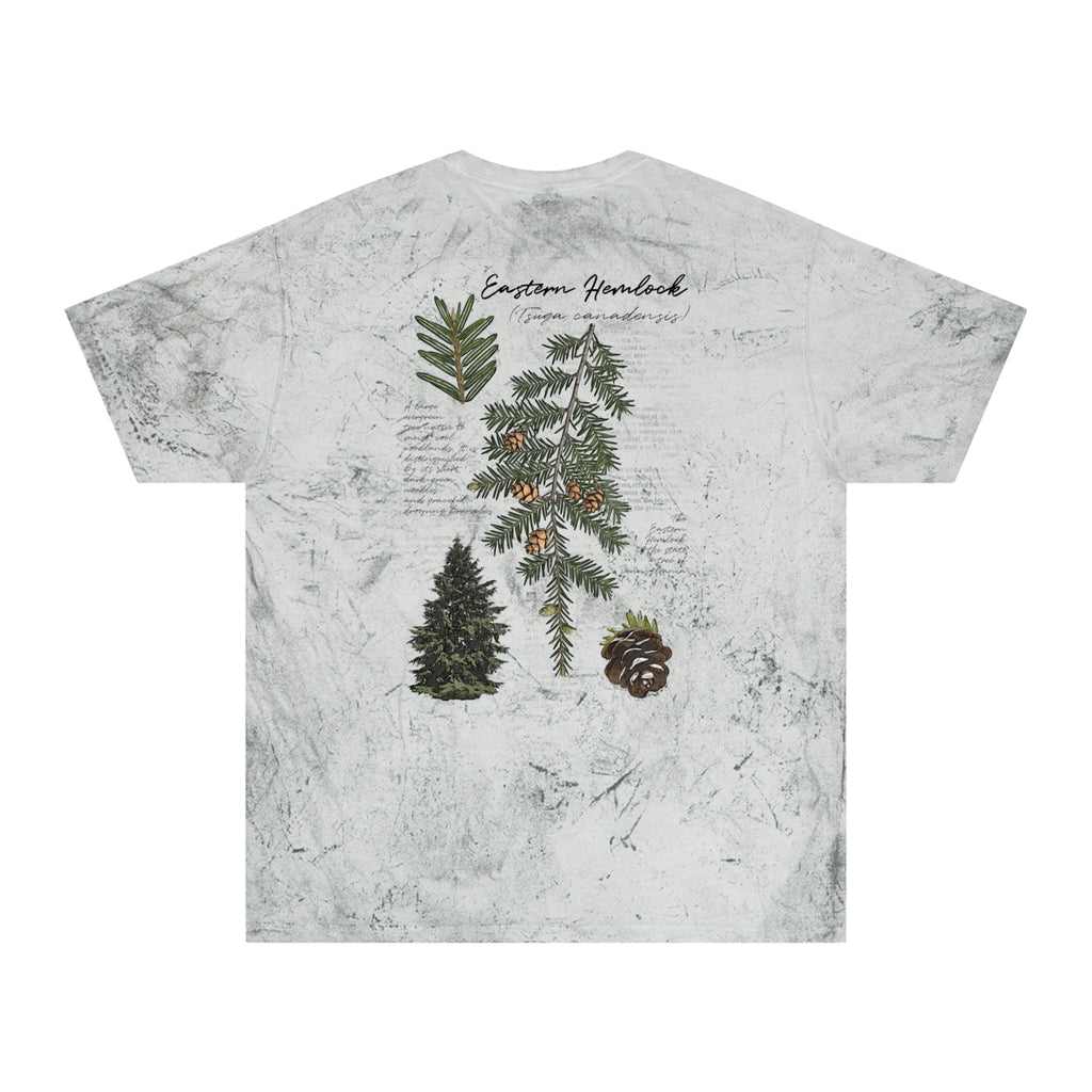 NATIVE: Eastern Hemlock - Color Blast T-shirt