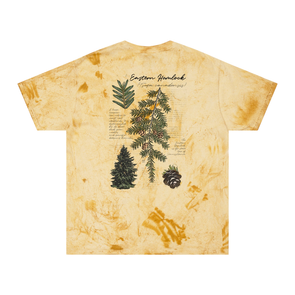 NATIVE: Eastern Hemlock - Color Blast T-shirt