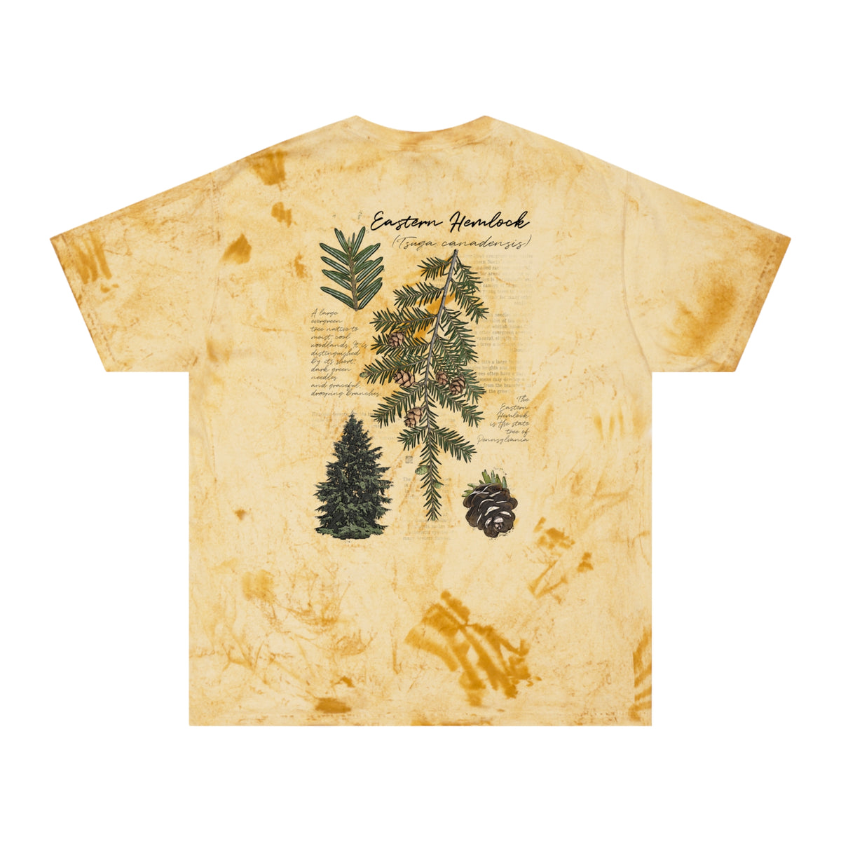 NATIVE: Eastern Hemlock - Color Blast T-shirt