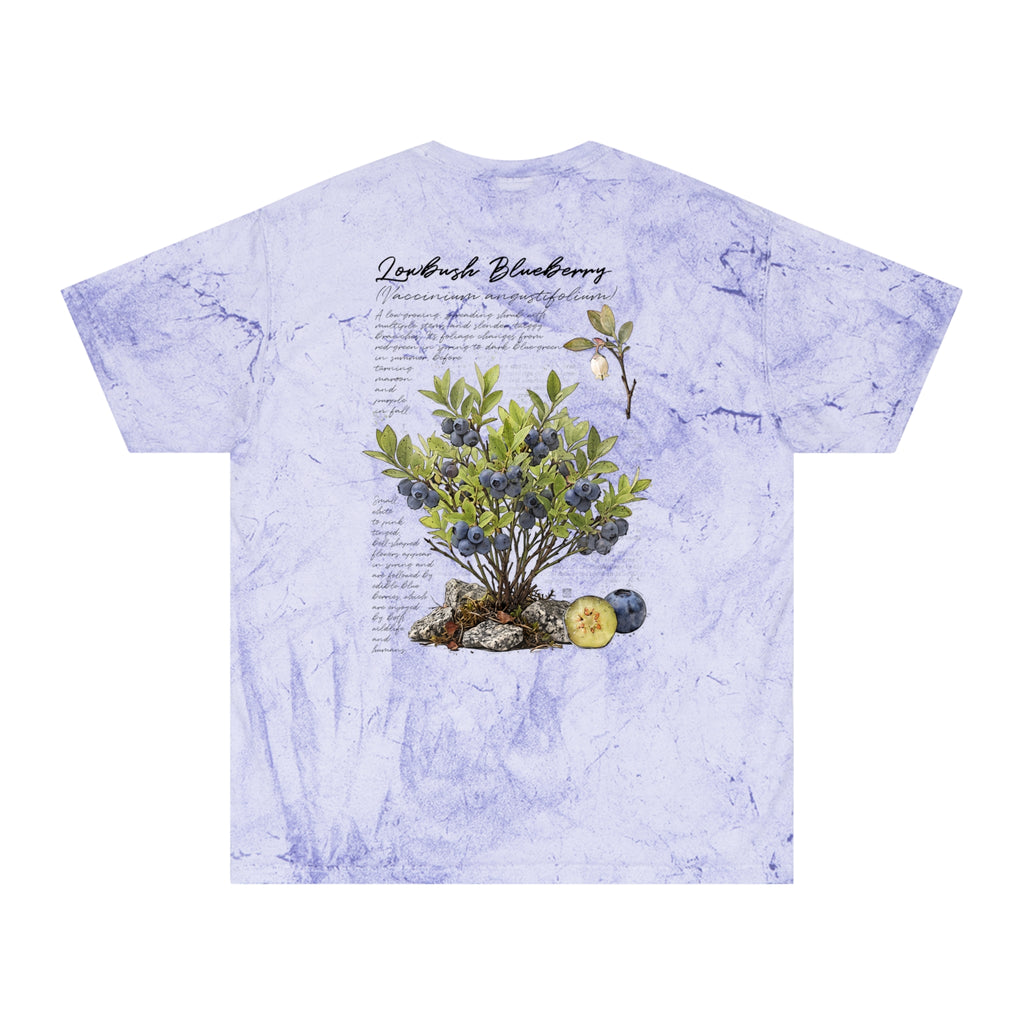 NATIVE: Lowbush Blueberry - Color Blast T-shirt
