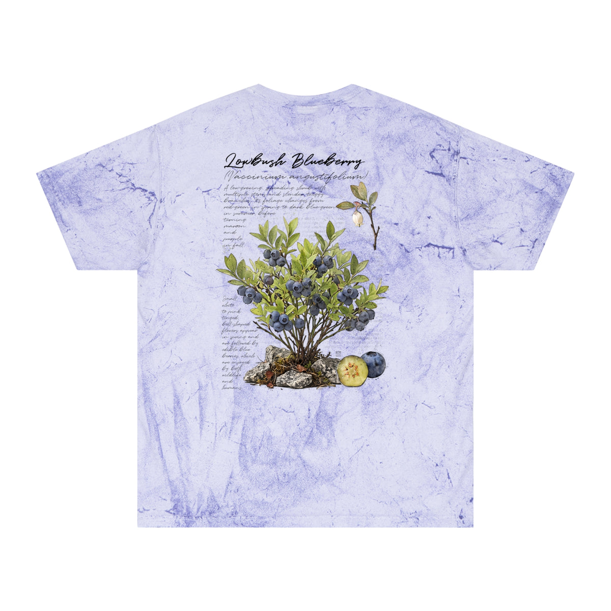 NATIVE: Lowbush Blueberry - Color Blast T-shirt