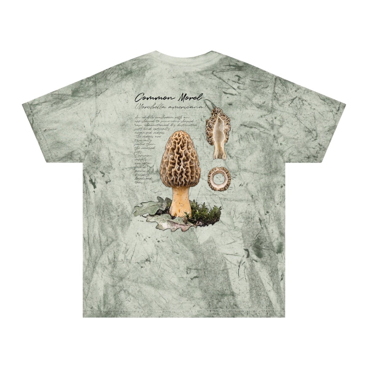 Native: Common Morel - Color Blast T-shirt