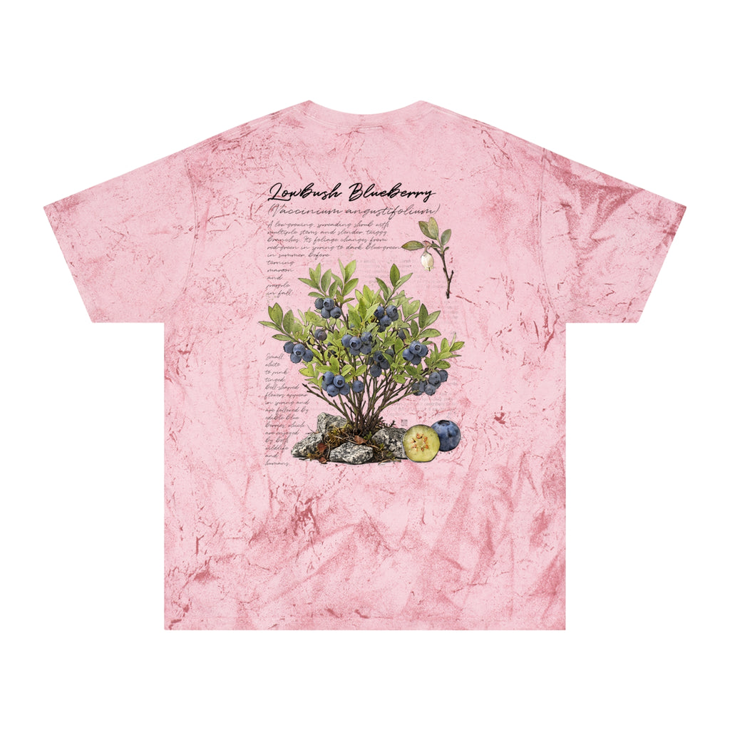 NATIVE: Lowbush Blueberry - Color Blast T-shirt