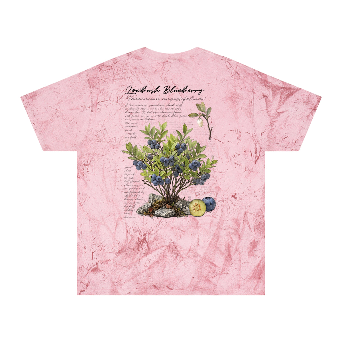 NATIVE: Lowbush Blueberry - Color Blast T-shirt