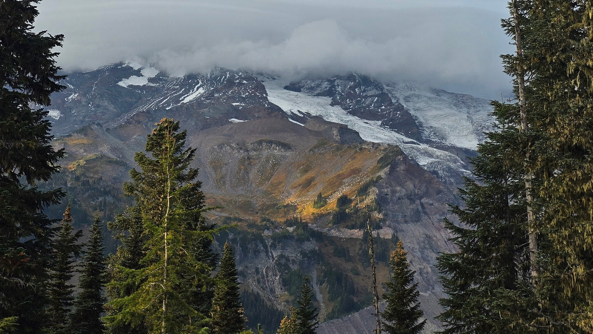 mount rainier